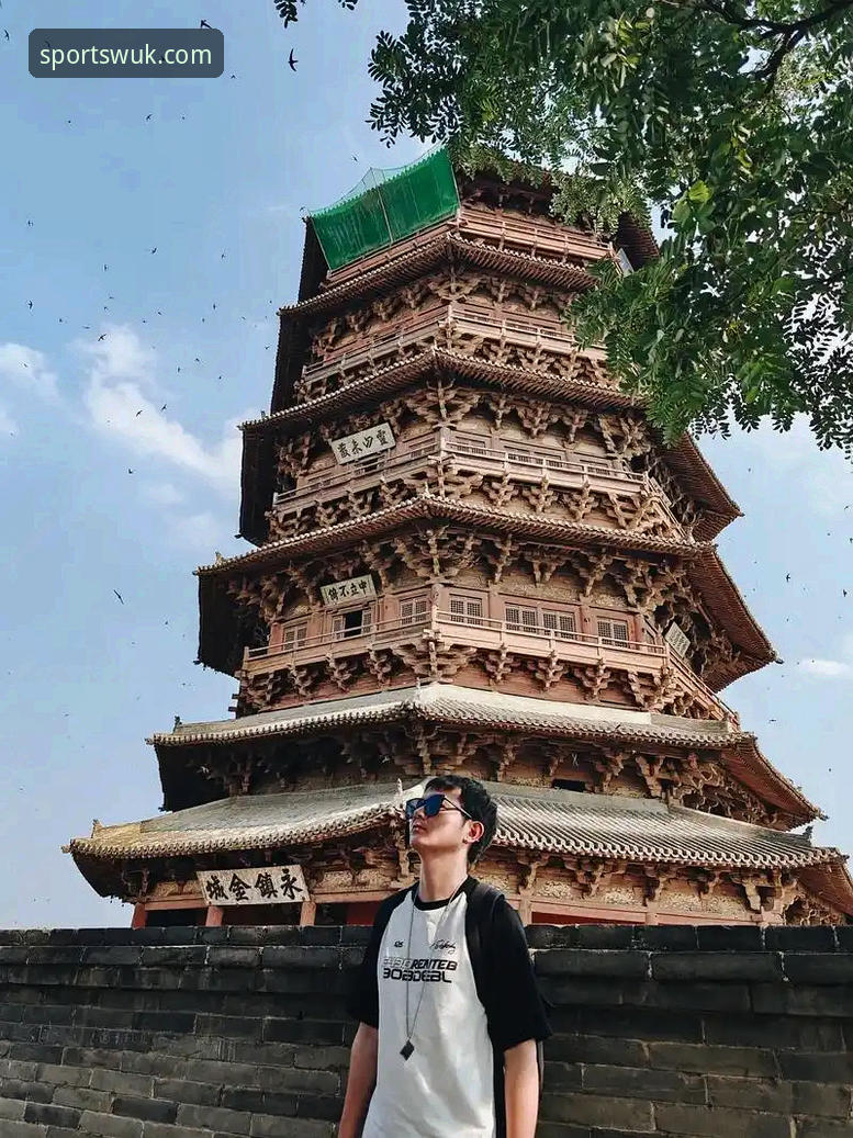 悟空体育观赛体验手机版详解：流畅与专业的完美结合